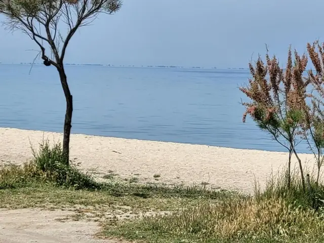 Παραλία κοντά στο σπίτι