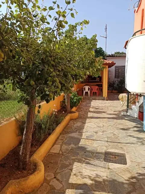 Πέτρινο μονοπάτι στον κήπο
